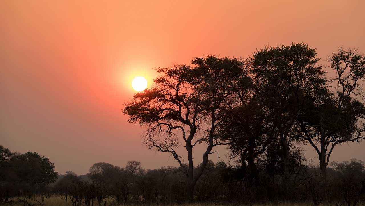 sunset, botswana, nature shots-1940625.jpg